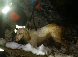 Vigili del fuoco