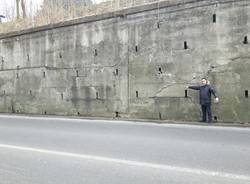 a8 anas varese