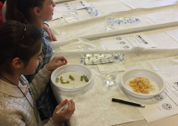 Bambini assaggiatori alla mensa di Varese