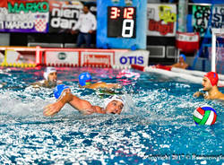 bpm sport management arnaldo deserti