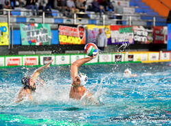 bpm sport management cristiano mirarchi