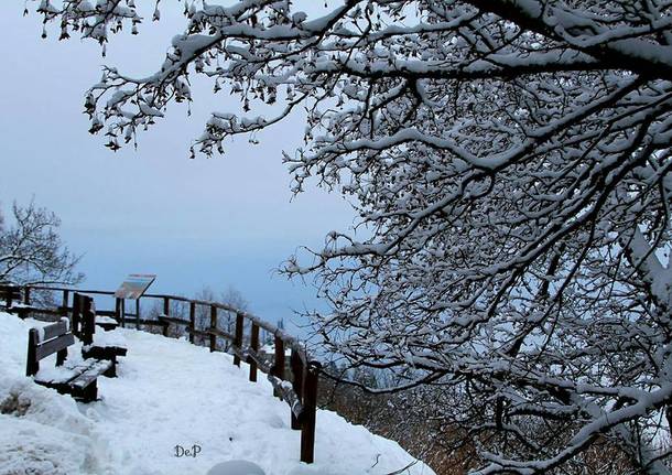 Campo dei Fiori, c'è ancora neve