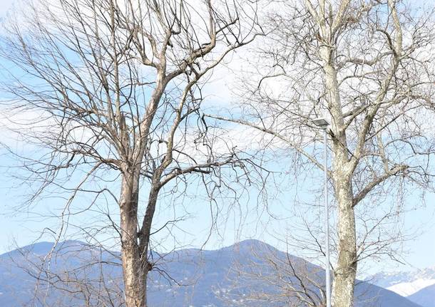 Sì, Luino è bella, ma è triste. Vi spiego perchè