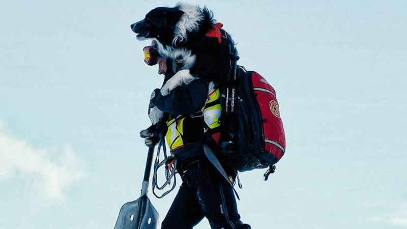 Le attività del Soccorso Alpino