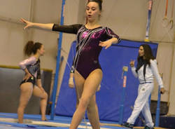 Ginnastica artistica