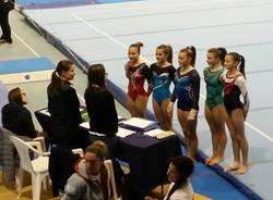 Ginnastica artistica
