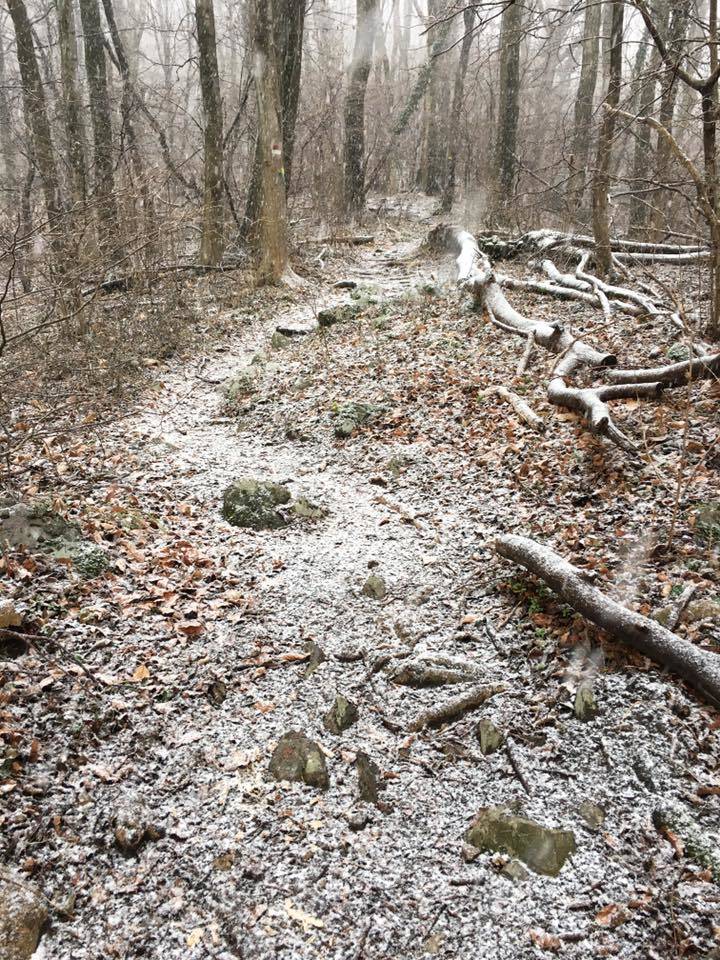 La prima neve di febbraio