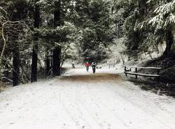 La prima neve di febbraio