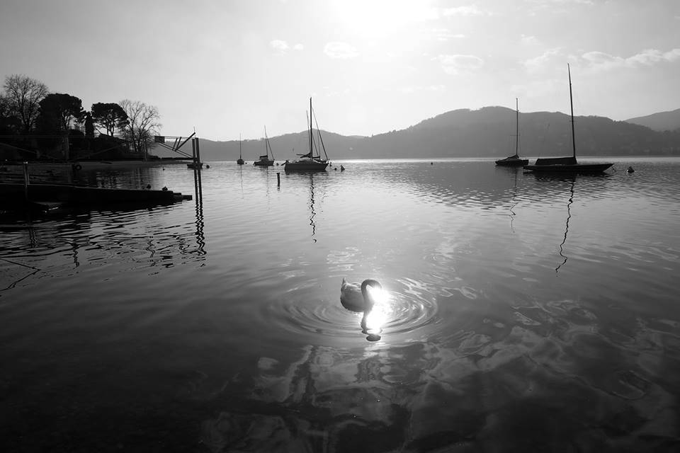 lago ranco