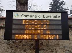 luvinate