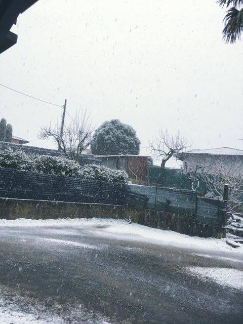 Nevicata del 10 febbraio 2017