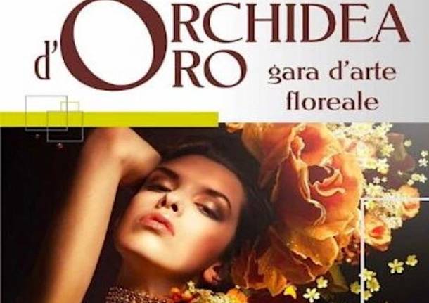 Orchidea d'oro Gallarate