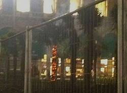 palme piazza Duomo bruciate