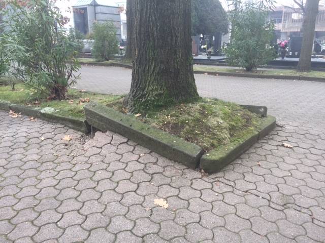 querce rosse cimitero castellanza