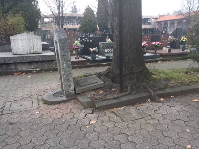 querce rosse cimitero castellanza