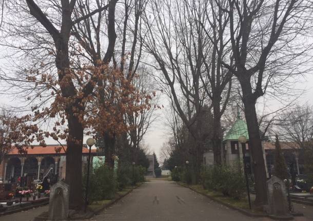 querce rosse cimitero castellanza