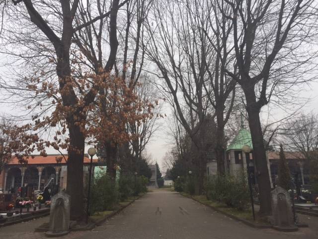 querce rosse cimitero castellanza