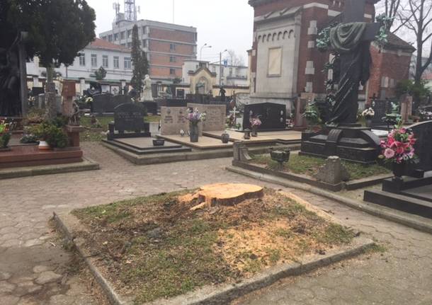 querce rosse cimitero castellanza