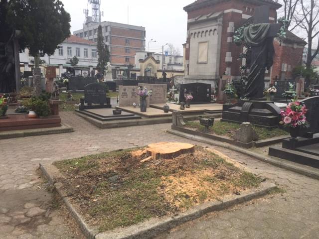 querce rosse cimitero castellanza