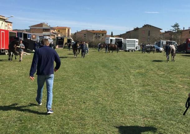Corse Monteroni marzo 2017