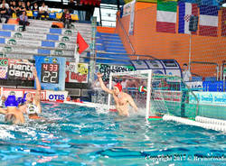 bpm sport management