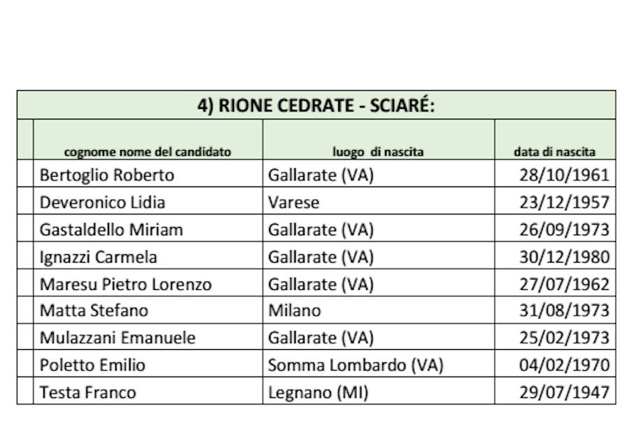 candidati Consulte rionali Gallarate