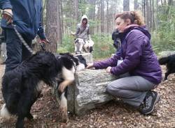 Cani nel Parco Pineta