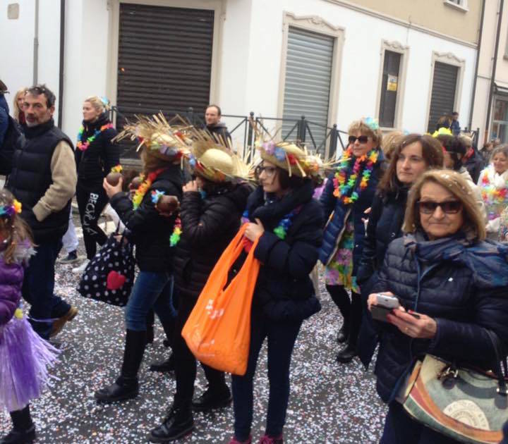 La sfilata del carnevale vergiatese