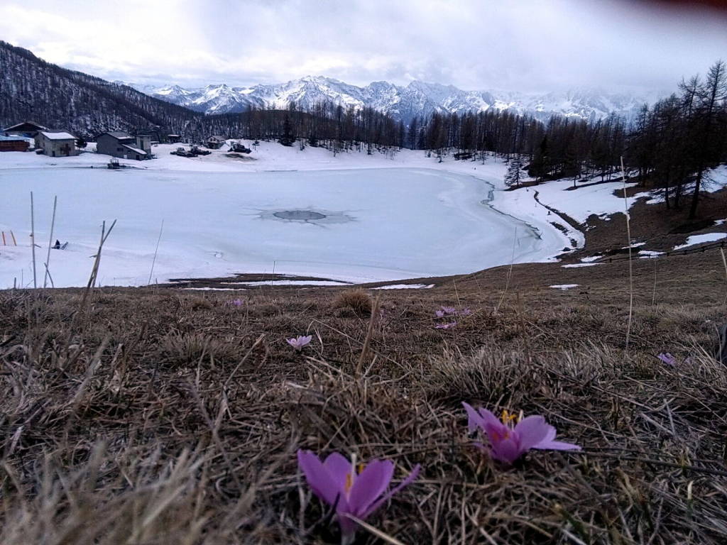 Rosanna in val d\'Aosta