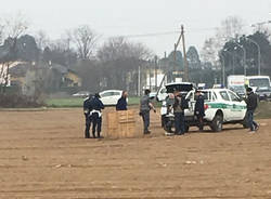 cattura cinghiale polizia locale busto arsizio