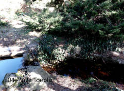 Fiori nei giardini pubblici di Varese