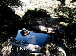 Fiori nei giardini pubblici di Varese