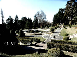 Fiori nei giardini pubblici di Varese