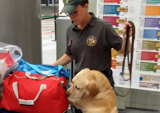 Guardia Finanza Malpensa 2017