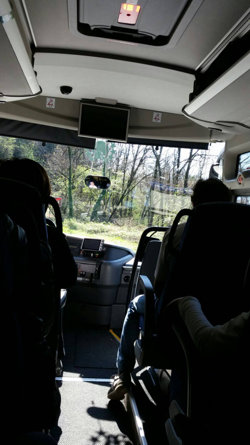 Il Papa a Monza. Varesini in viaggio 