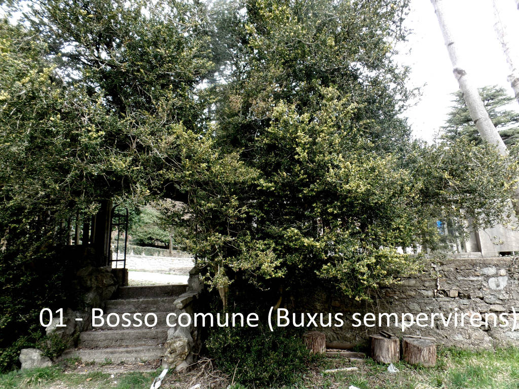 Il viaggio di Teresio