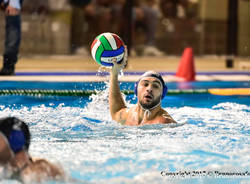 niccolò gitto bpm sport management