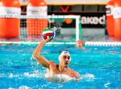 pallanuoto bpm sport management