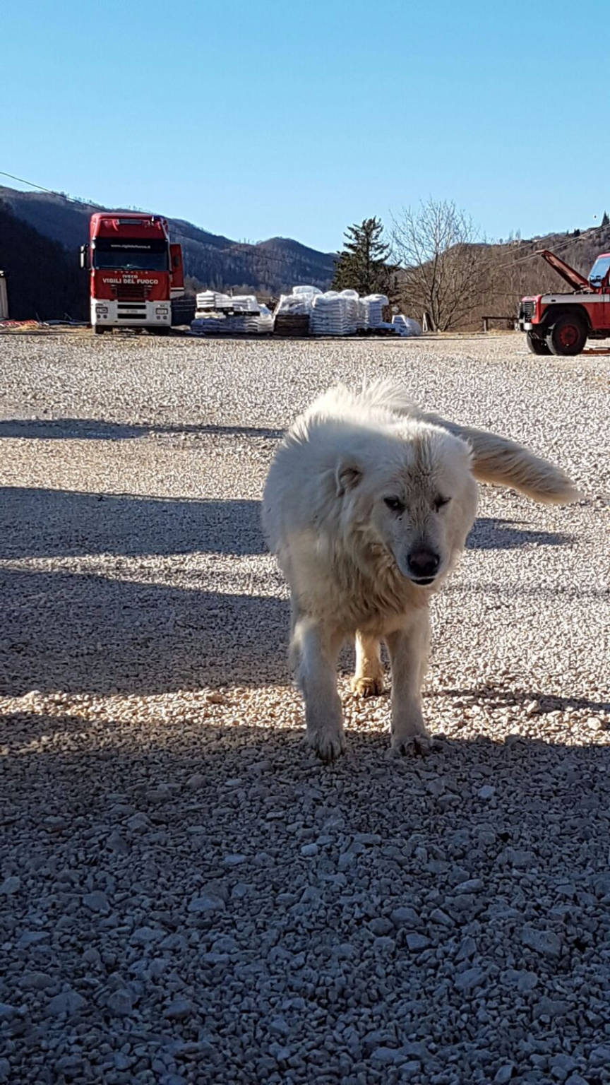 Tra le case distrutte