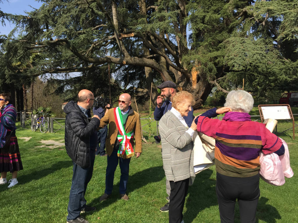 Una panchina (e un roseto) per Liala