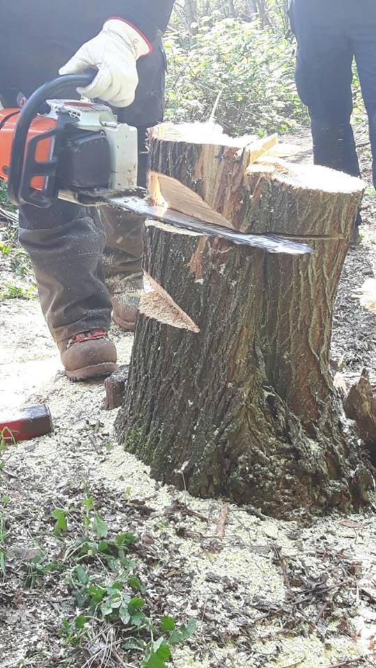 A lezione di motosega