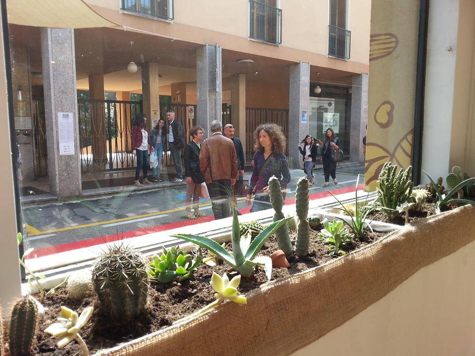 All'ex libreria Veroni nasce lo spazio "Substrato"