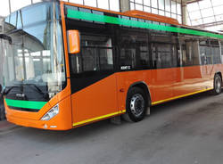 autolinee varesine 