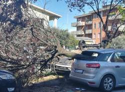 incidente auto via quintino sella