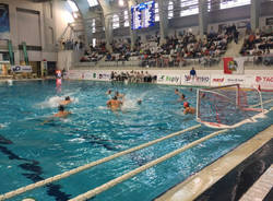 bpm sport management