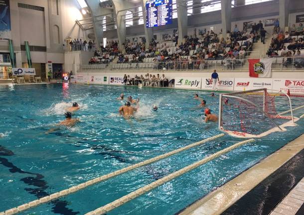 Busto Arsizio Pallanuoto