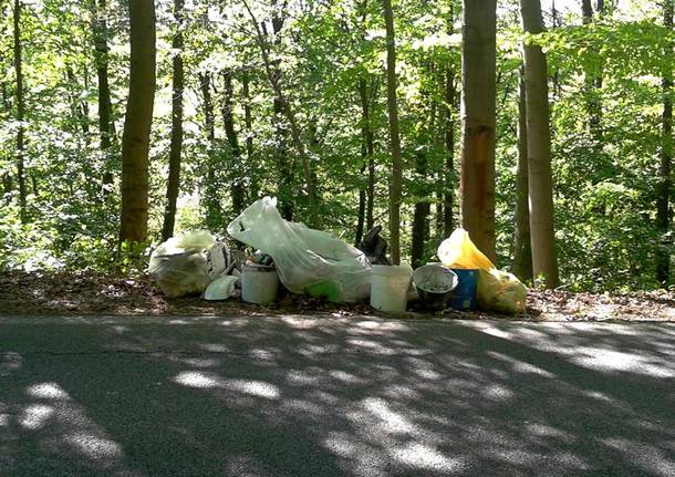 Ridipinge la casa e abbandona tutto nel bosco