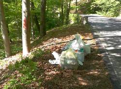 Ridipinge la casa e abbandona tutto nel bosco