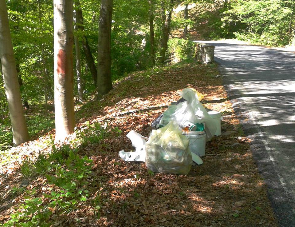 Ridipinge la casa e abbandona tutto nel bosco