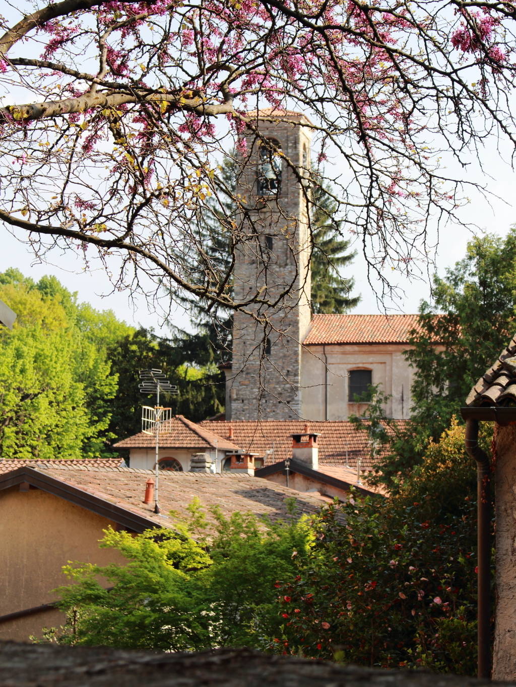 Finestra fiorita sul Romanico